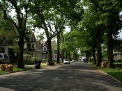 Neighborhood Trees